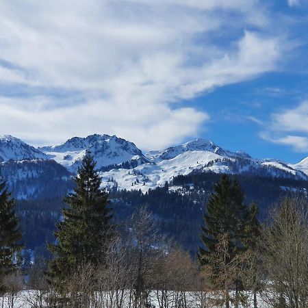 Ferienwohnung App. Mountain View Fieberbrunn Bagian luar foto