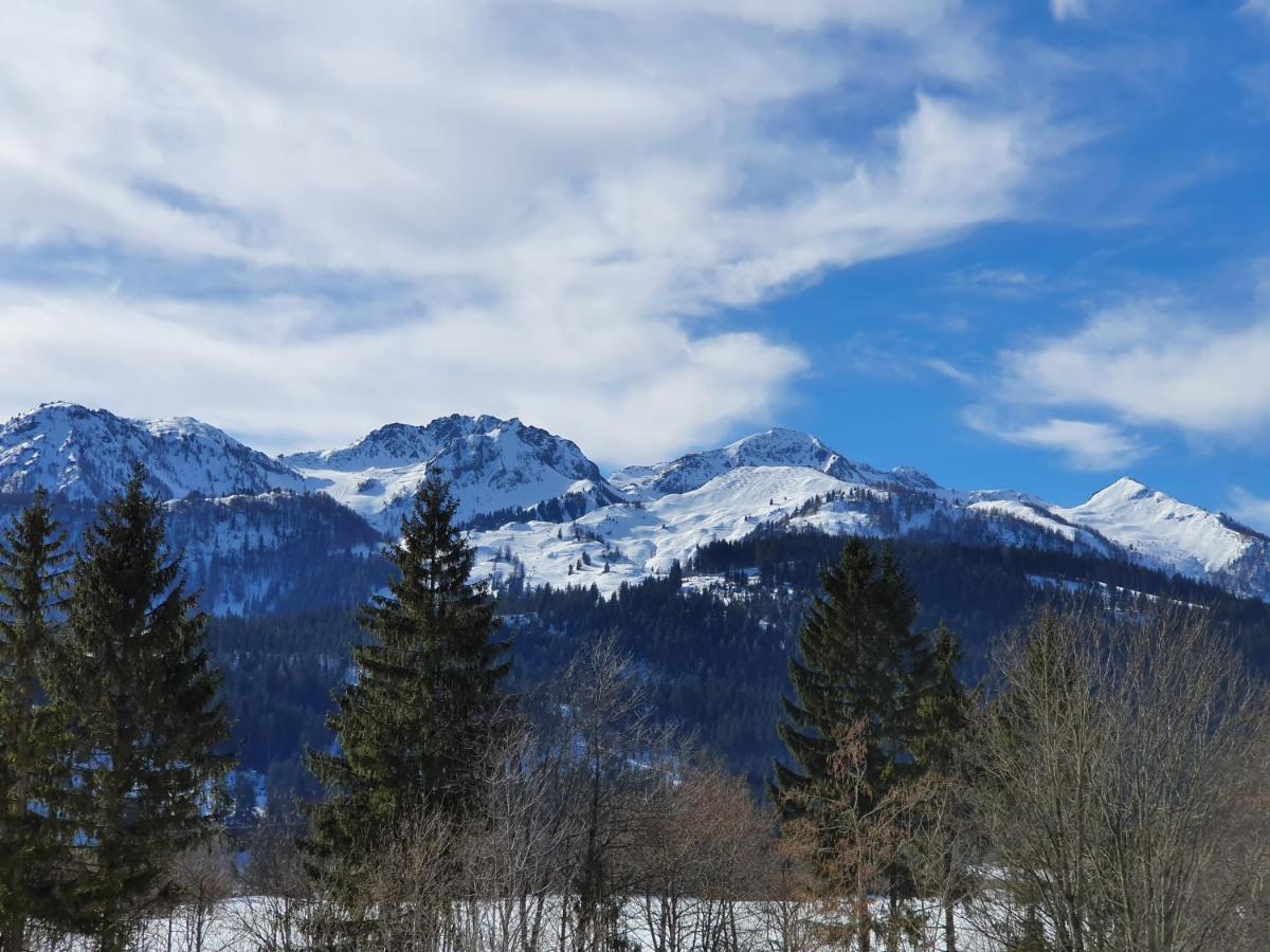 Ferienwohnung App. Mountain View Fieberbrunn Bagian luar foto