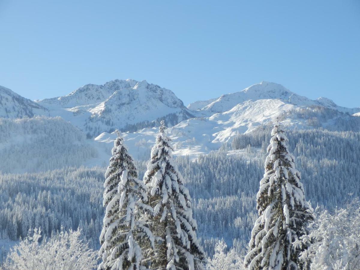 Ferienwohnung App. Mountain View Fieberbrunn Bagian luar foto