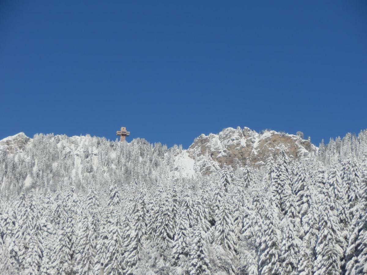 Ferienwohnung App. Mountain View Fieberbrunn Bagian luar foto