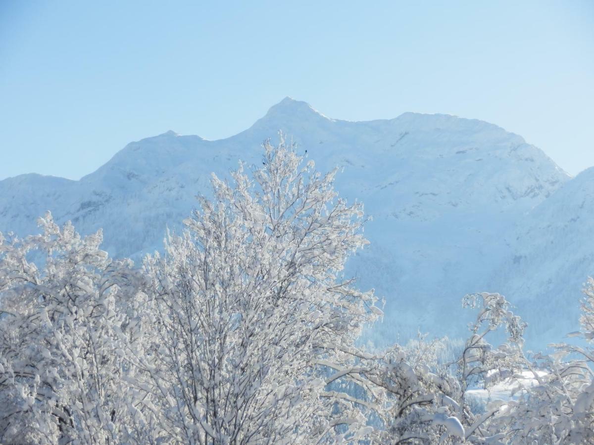 Ferienwohnung App. Mountain View Fieberbrunn Bagian luar foto